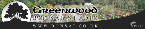 Weetrees Proudly sponsored by Greenwood Bonsai